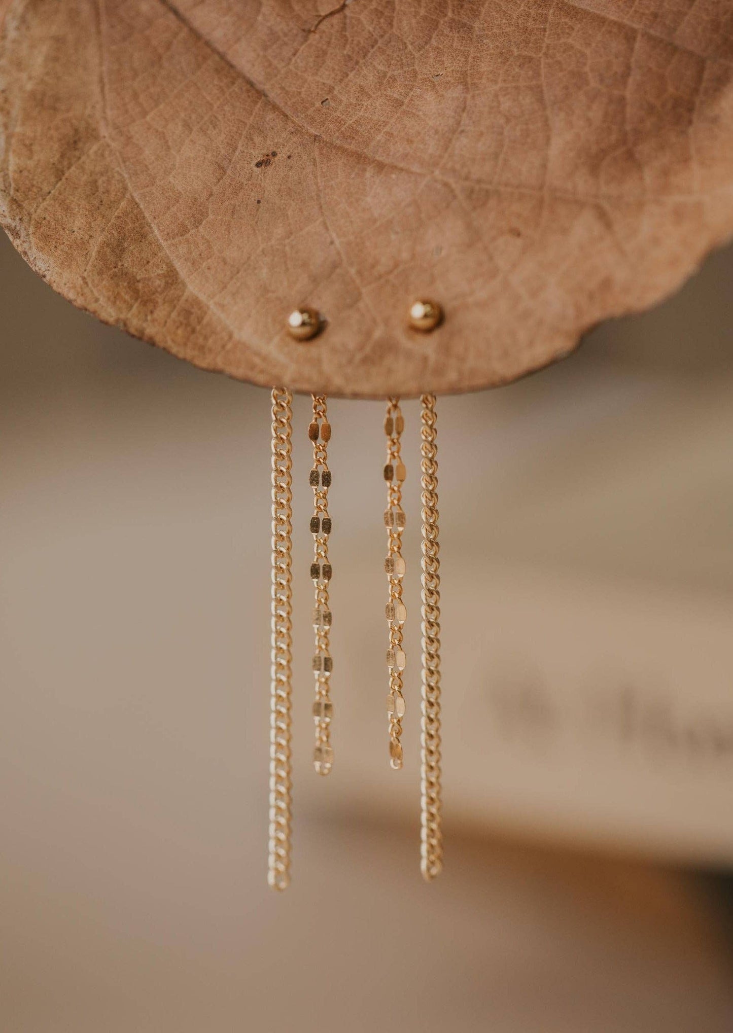 Lenny Backdrop | 14kt Gold Fill: 14kt Gold Fill